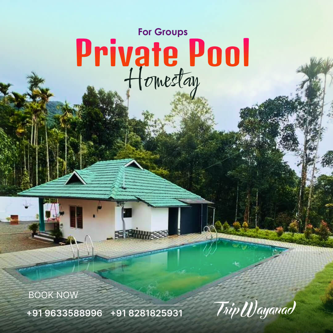 Wayanad Private Pool