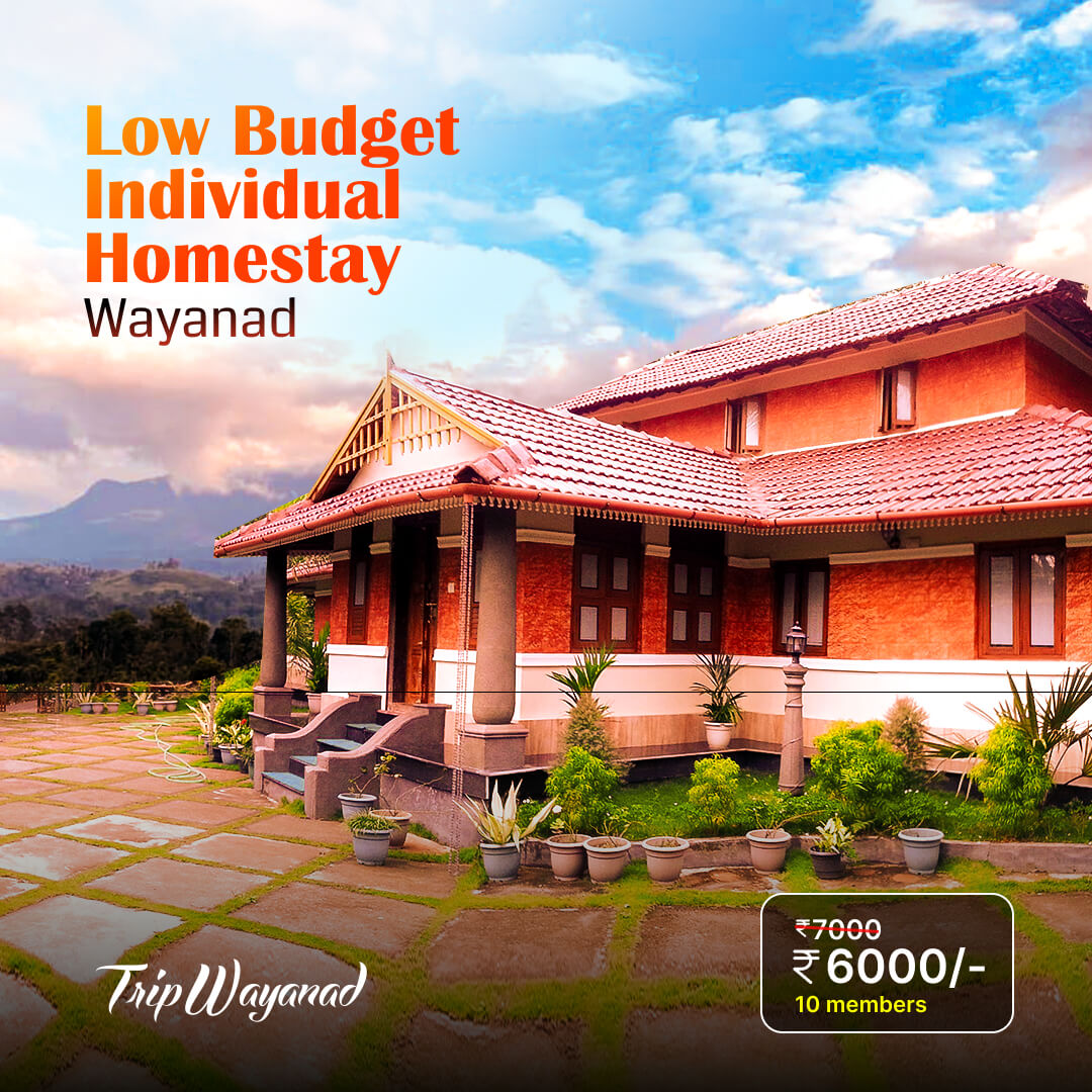 Wayanad Homestay