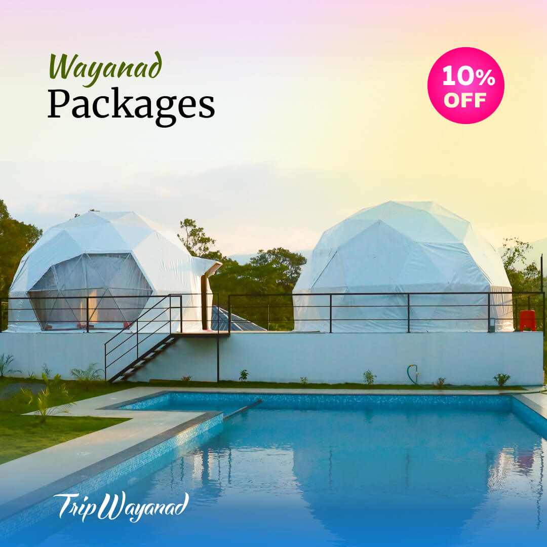 Wayanad low budget stay